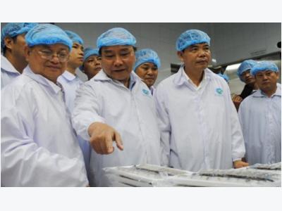 Vietnam PM declares war on substance-injected shrimp
