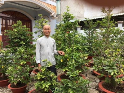 Thành phố Hồ Chí Minh: Thoả mãn đam mê với nghề trồng mai ghép