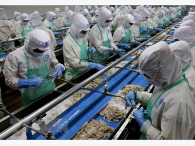 Auspicious start for Vietnamese seafood exports to EU