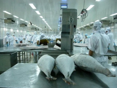 Vietnam tuna exports to EU to be up 35%