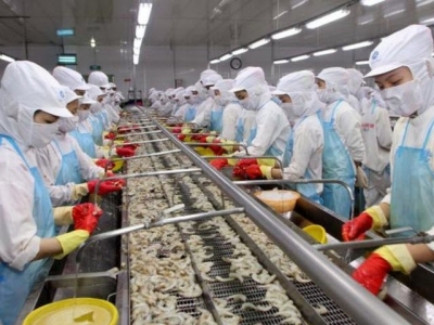 Việt Nam chủ yếu xuất khẩu tôm chân trắng sang Bỉ