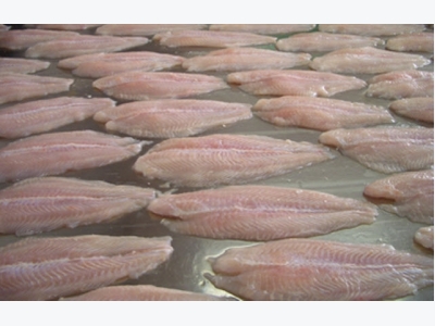 Whitefish wars driving Vietnams pangasius away from EU, US