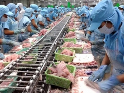 Vietnam pangasius exports totaled USD 1.62 billion