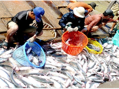 Agriculture industry aims for US$40 billion export target