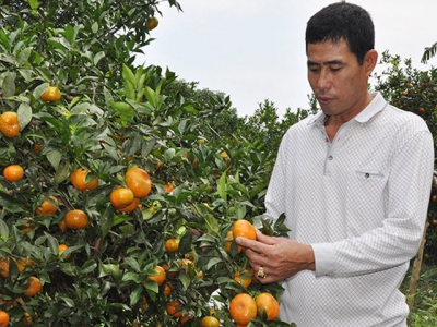 Quang Ninh provinces staples to be introduced in Hanoi