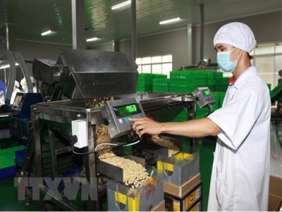 CPTPP brings opportunities, challenges to Vietnams agriculture
