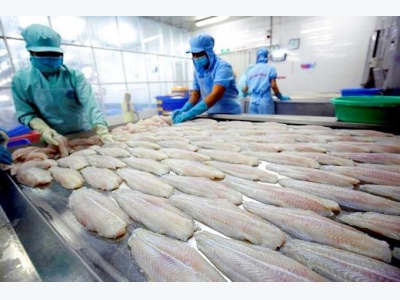 Vietnam seafood giant remains stubbornly in the red
