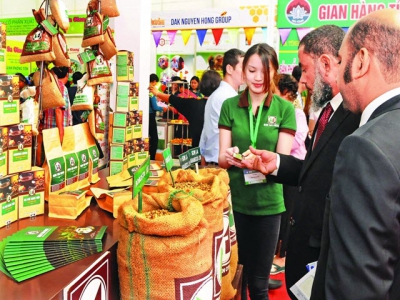 Coffee sector wakes up to value of processed, organic brands