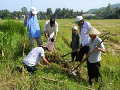 Tích cực phòng trừ sâu bệnh