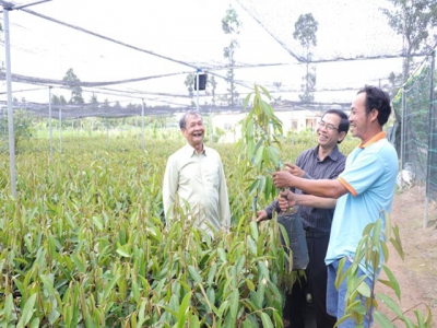 Countrys largest seedling producer focuses on quality