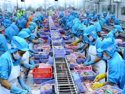 Fishery sector seizes opportunities to boost exports