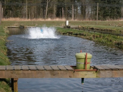 How China is applying ecological engineering techniques in pond aquaculture