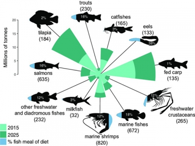 Các enzim có thể cải thiện hiệu quả việc sử dụng thức ăn chăn nuôi thủy sản như thế nào?