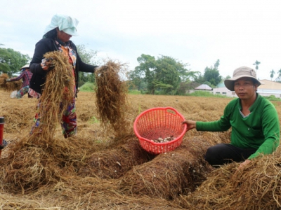 By-products resource from crop production in circular agriculture