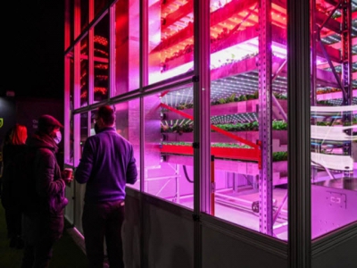 How the Scottish are finding food solutions using vertical farming
