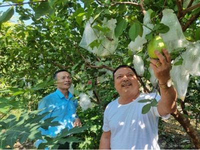 Đất không rộng, vẫn làm giàu nhờ nông nghiệp