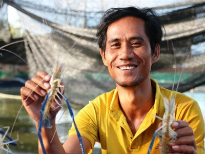 Chăm ethnic farmer raises prawns on arid land