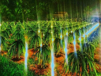 Promote agro-products through tourism