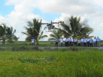 Farmers and enterprises collaborate to produce rice with USDA organic standards