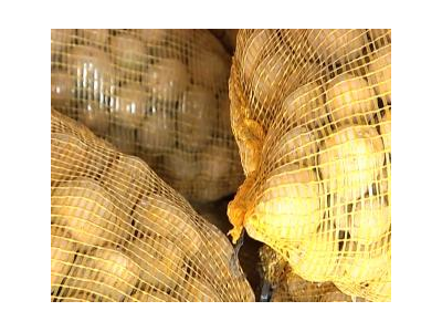 Tăng Cường Sử Dụng Kho Lạnh Trong Việc Bảo Quản Khoai Tây Giống