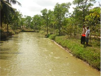 Thu Nhập Cao Nhờ Nuôi Cá Rô