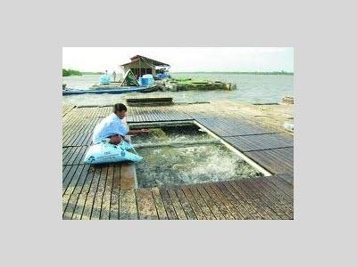 Hỗ Trợ Hóa Chất Để Phục Vụ Công Tác Phòng Chống Dịch Bệnh Thủy Sản Ở Bình Định