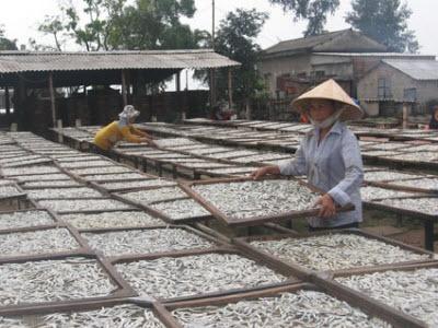 Triển Vọng Từ Vụ Cá Nam