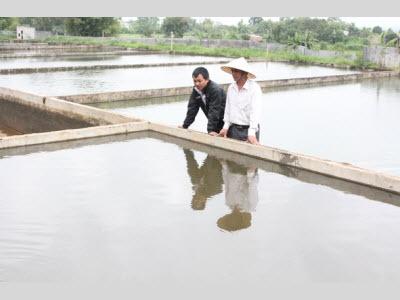 Sản Xuất Cá Giống Trong Tỉnh Cung Chưa Đủ Cầu Ở Dak Lak