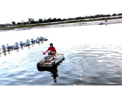 Quảng Ninh Sẵn Sàng Cho Nuôi Trồng Thuỷ Sản Vụ Xuân Hè