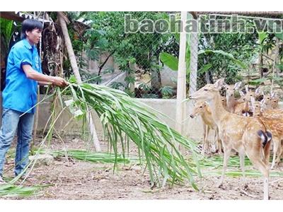 Chí Làm Giàu Của Chàng Thanh Niên Trẻ