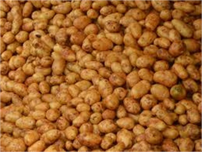 Khoai Tây Đà Lạt Được Mùa, Được Giá