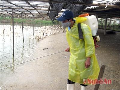 Tiêu Độc, Khử Trùng Bảo Vệ Đàn Vật Nuôi