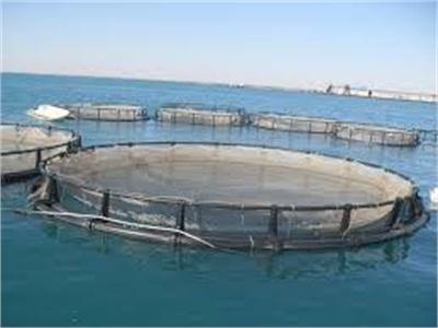 Xây Dựng 11 Tiêu Chí Nuôi Trồng Thủy Sản Bền Vững