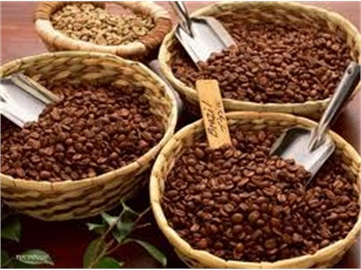 Lâm Đồng Sản Xuất Cà Phê 3 Phải, 3 Giảm, 3 Tăng