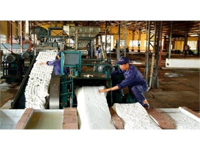 Nỗi Lo Khi Việt Nam Là Nước Sản Xuất Cao Su Số 3 Thế Giới