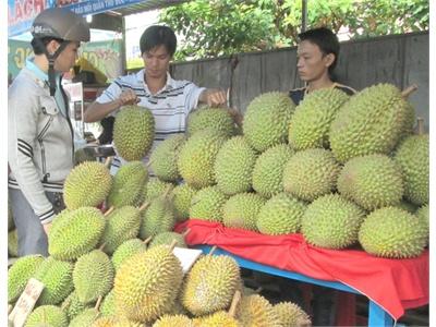 Trái Cây Mùa Nghịch Hốt Bạc