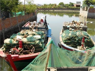 Vắt Cạn Kiệt Đầm Thị Nại