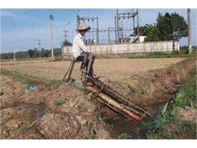 Gần 10.000 Ha Cây Trồng Thiếu Nước Tưới