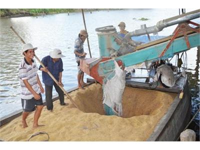 Mô Hình Cánh Đồng Mẫu Lớn Trục Trặc Trong Liên Kết