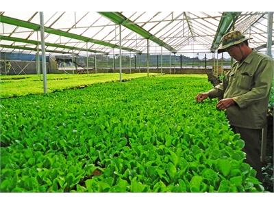 Trang Trại Cây Con Khép Kín