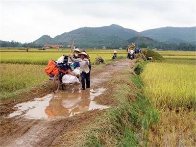 Nông Nghiệp 2014 Đối Mặt Khó Khăn Kép