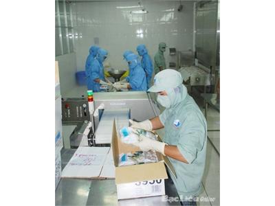 Nguyên Liệu Cho Xuất Khẩu Thủy Sản Bao Giờ Mới Hết Thiếu?
