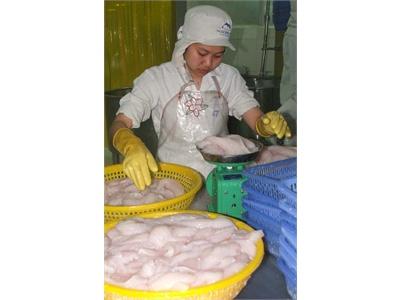 Xuất Khẩu Thủy Sản Đang Ấm Dần