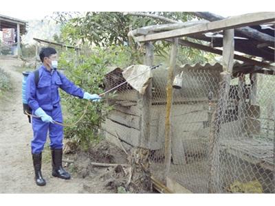 Mường Nhé Bảo Vệ Đàn Gia Súc