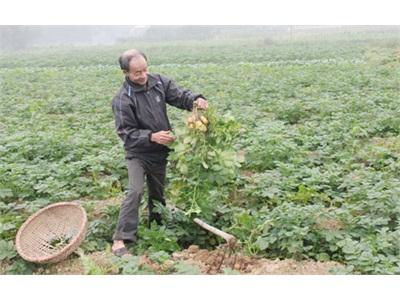 Nhiều Giải Pháp Giảm Nghèo Bền Vững Ở Yên Thế