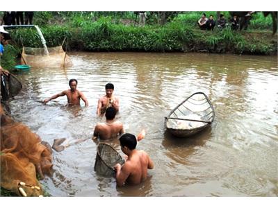Mở Rộng Diện Tích Nuôi Các Giống Cá Cho Thu Nhập Cao