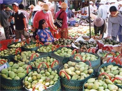 Xoài Cát Hòa Lộc Tiền Giang Chinh Phục Thị Trường Thế Giới