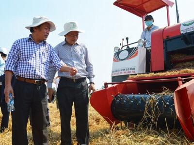 Biến rơm rạ thành... tiền