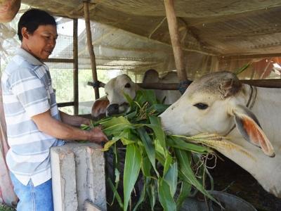 Có dự án hay là được vay vốn