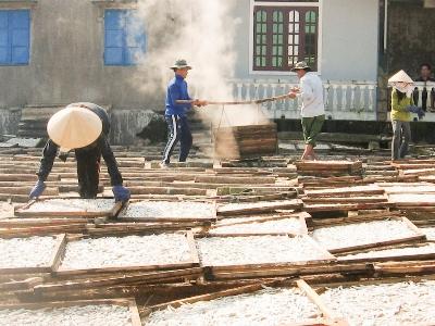 Ngư dân thị trấn Cửa Việt được mùa cá cơm